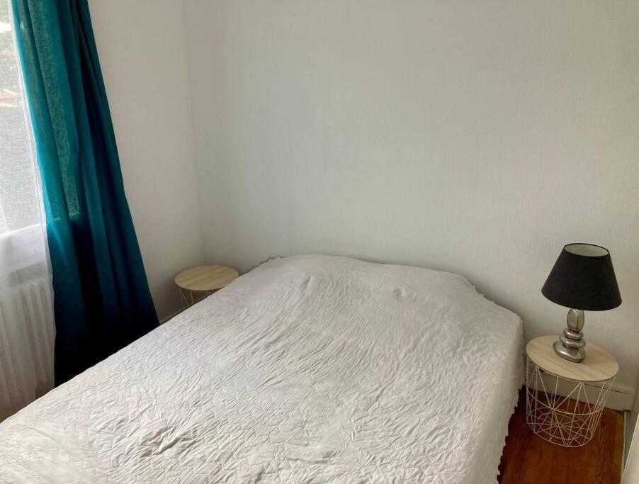 Grand Appartement Proche Cite De L'Espace Toulouse Exteriör bild